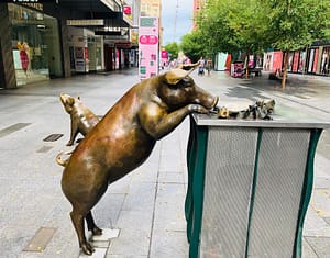 Rundle Mall pigs - Rundle Mall Adelaide South Australia