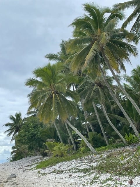 Rarotonga beach Rarotonga Cook Islands