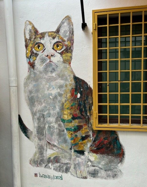 Cat near the yellow window George Town Penang Malaysia