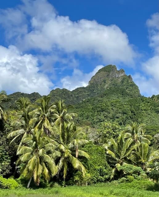 Rarotonga highlands Rarotonga Cook Islands