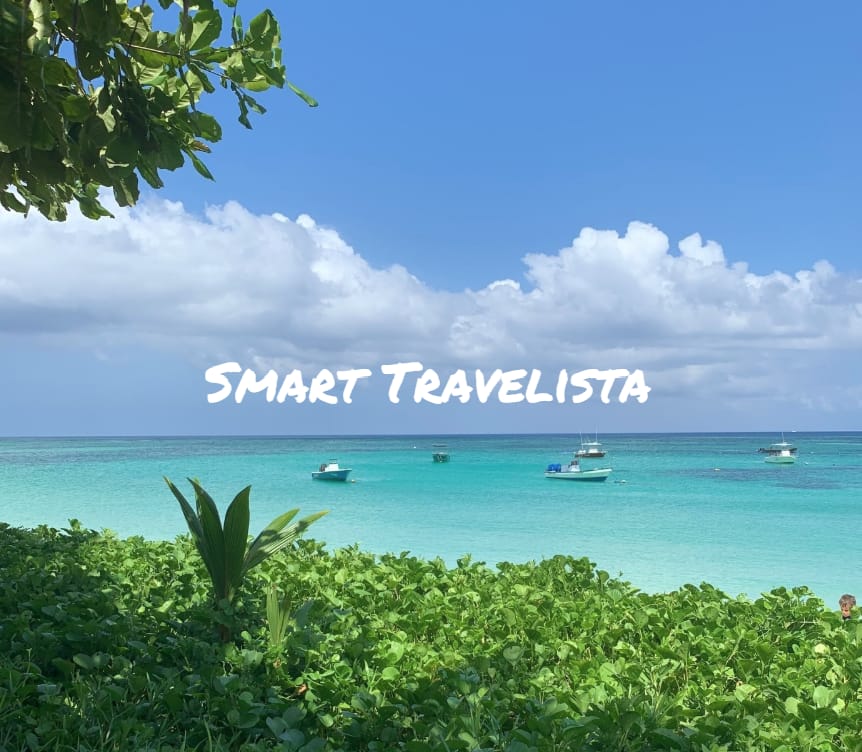 The Smart Travelista