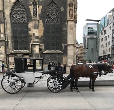 Horse and carriage in Vienna Austria 