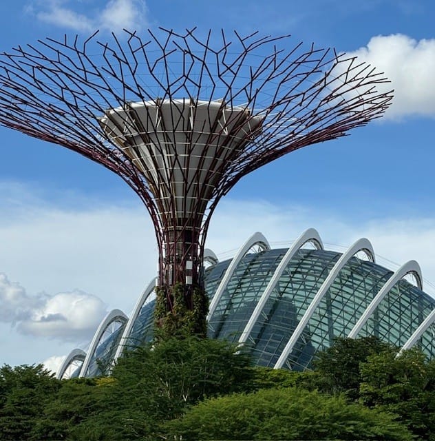 Gardens by The Bay Singapore 