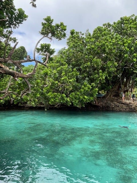 Travel happiness - Blue Lagoon Efate