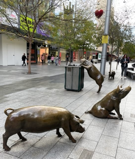 The pigs of Rundle Mall Adelaide South Australia
