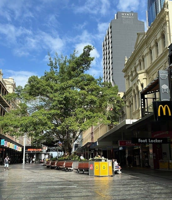 Queen Street Mall Brisbane Queensland Australia