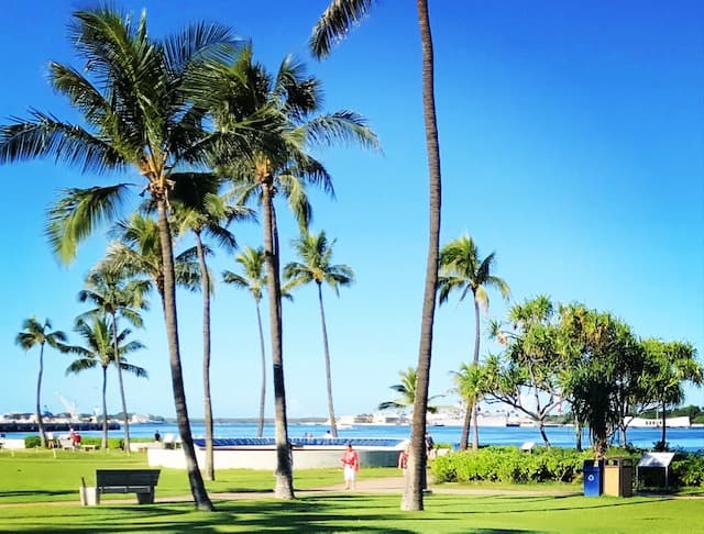 Honolulu Hawaii USA