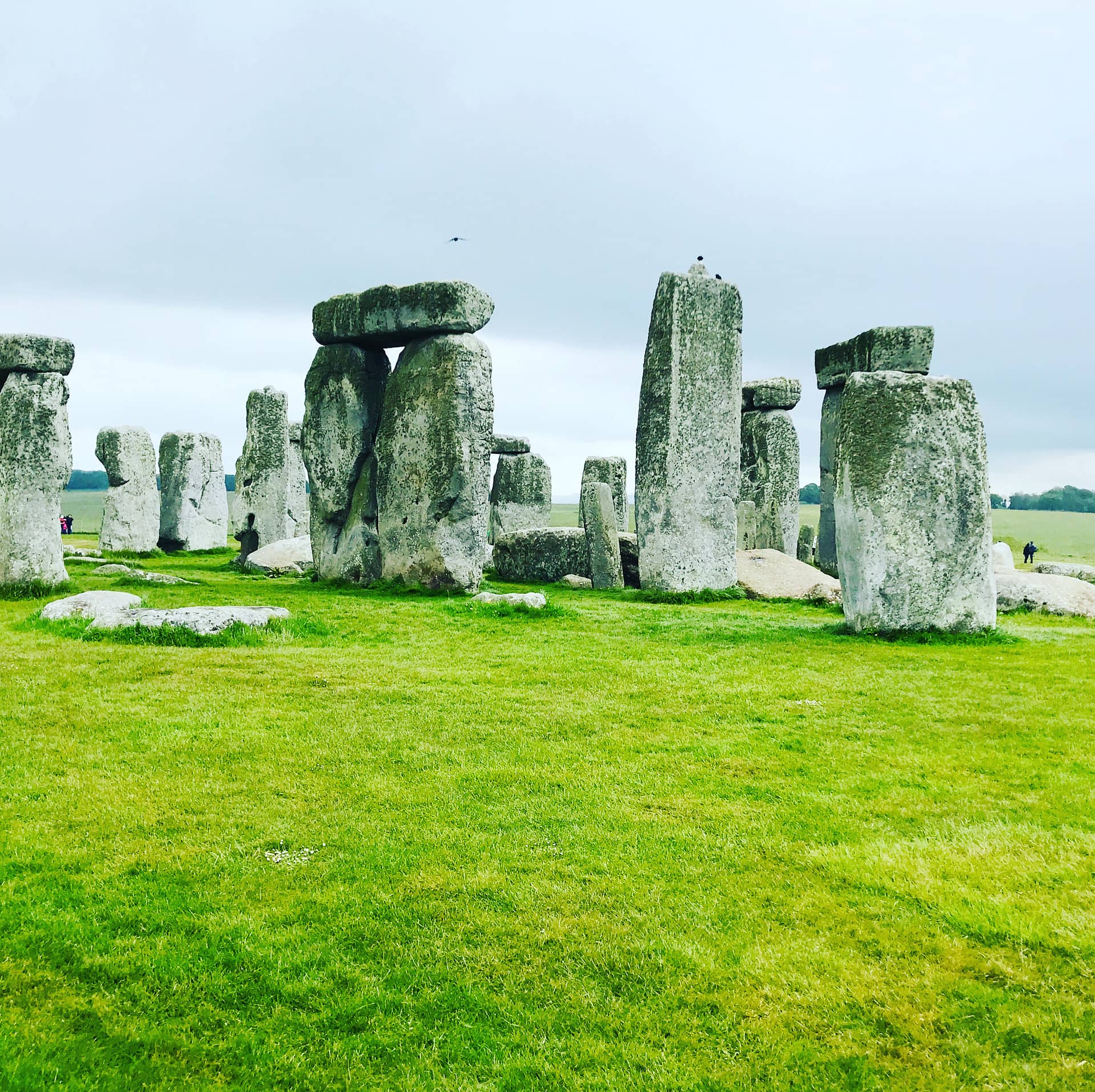 Stones of Stonehenge Wiltshire England